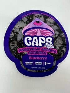 CAPS by Good Morels- Pychedelic Amanita Gummies- Blueberry 5 Gummies